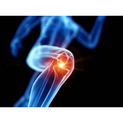 Behandlung von Muskelverletzungen - Ihr kompletter Leitfaden